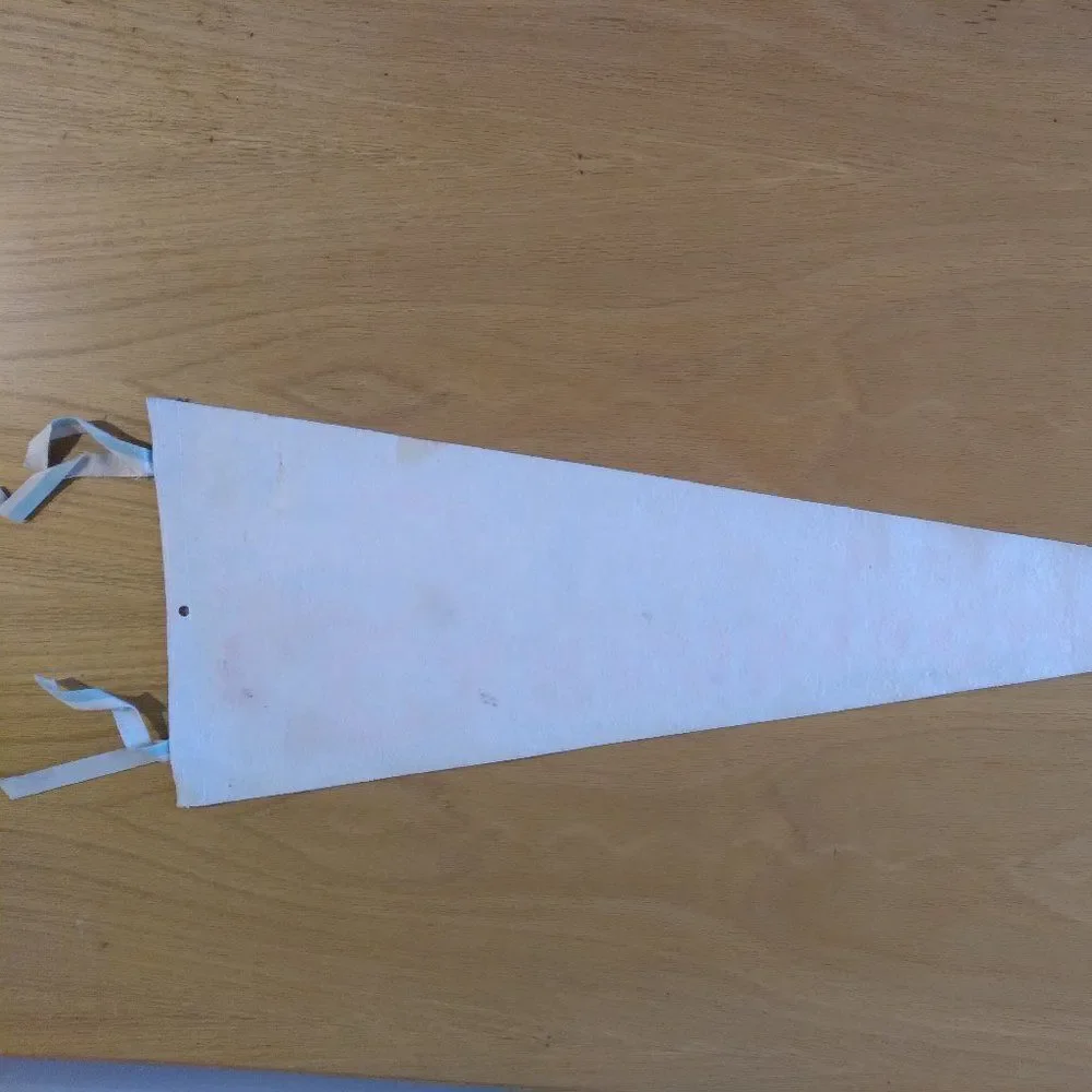 Vintage Carlsbad Cavern National Park Pennant Flag